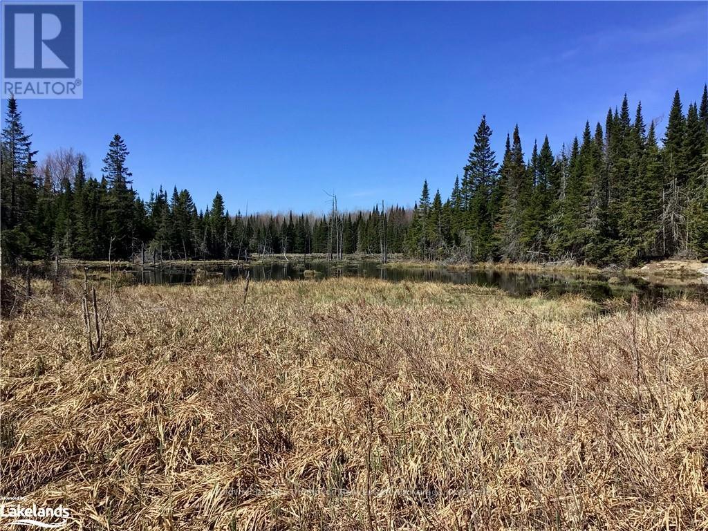 Lot 6-A 522, Parry Sound Remote Area, Ontario  P0H 1S0 - Photo 15 - X10436965