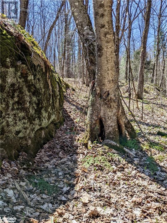 Lot 6-A 522, Parry Sound Remote Area, Ontario  P0H 1S0 - Photo 18 - X10436965