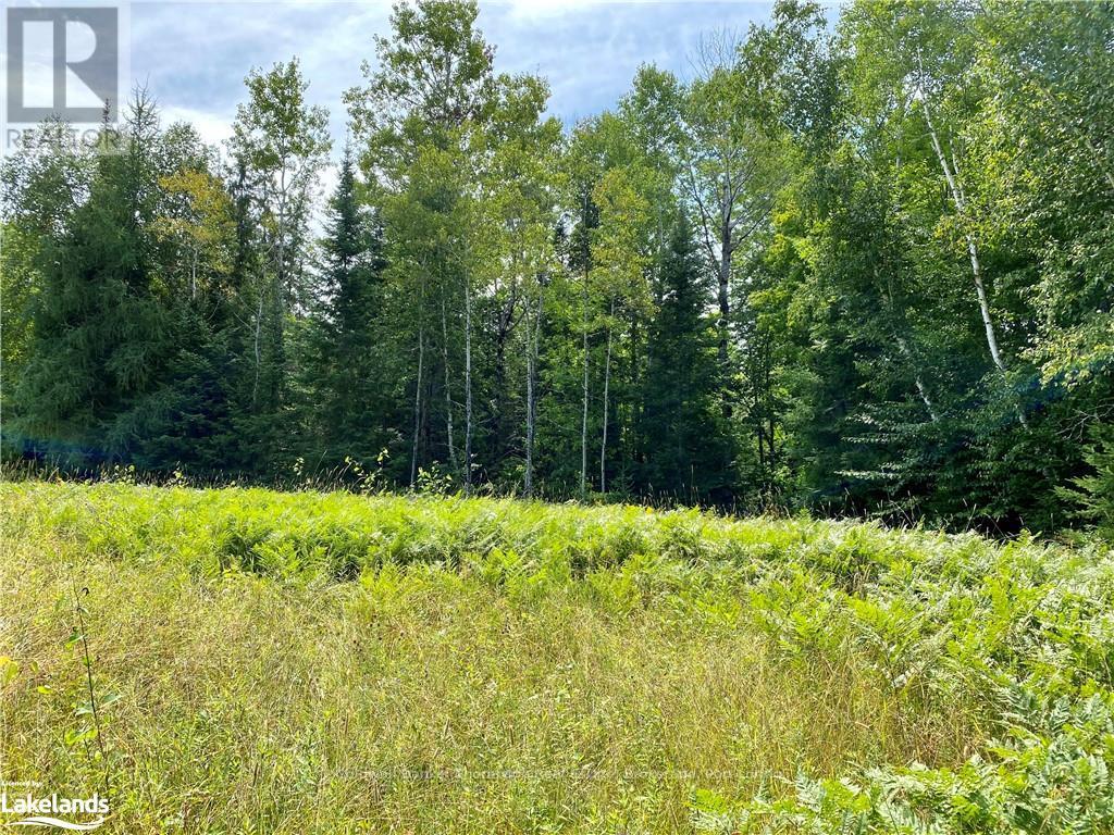 Lot 6-A 522, Parry Sound Remote Area, Ontario  P0H 1S0 - Photo 2 - X10436965