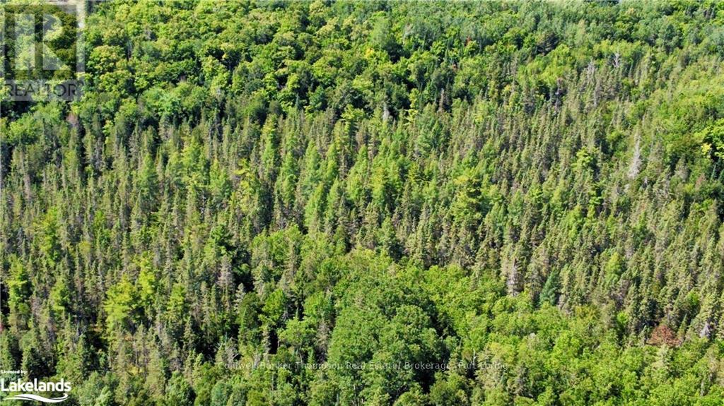 Lot 6-A 522, Parry Sound Remote Area, Ontario  P0H 1S0 - Photo 25 - X10436965