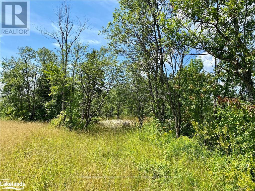 Lot 6-A 522, Parry Sound Remote Area, Ontario  P0H 1S0 - Photo 3 - X10436965