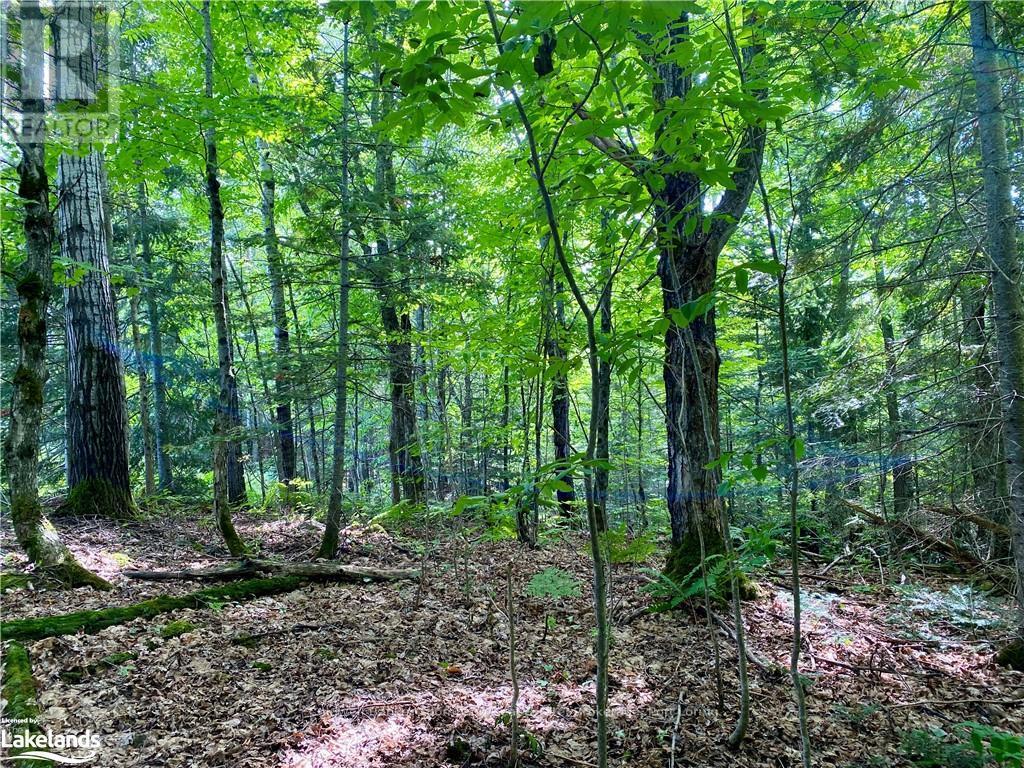 Lot 6-A 522, Parry Sound Remote Area, Ontario  P0H 1S0 - Photo 6 - X10436965