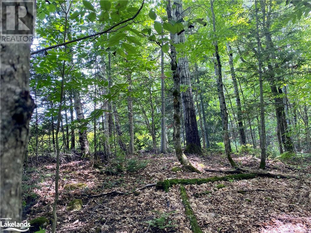 Lot 6-A 522, Parry Sound Remote Area, Ontario  P0H 1S0 - Photo 7 - X10436965