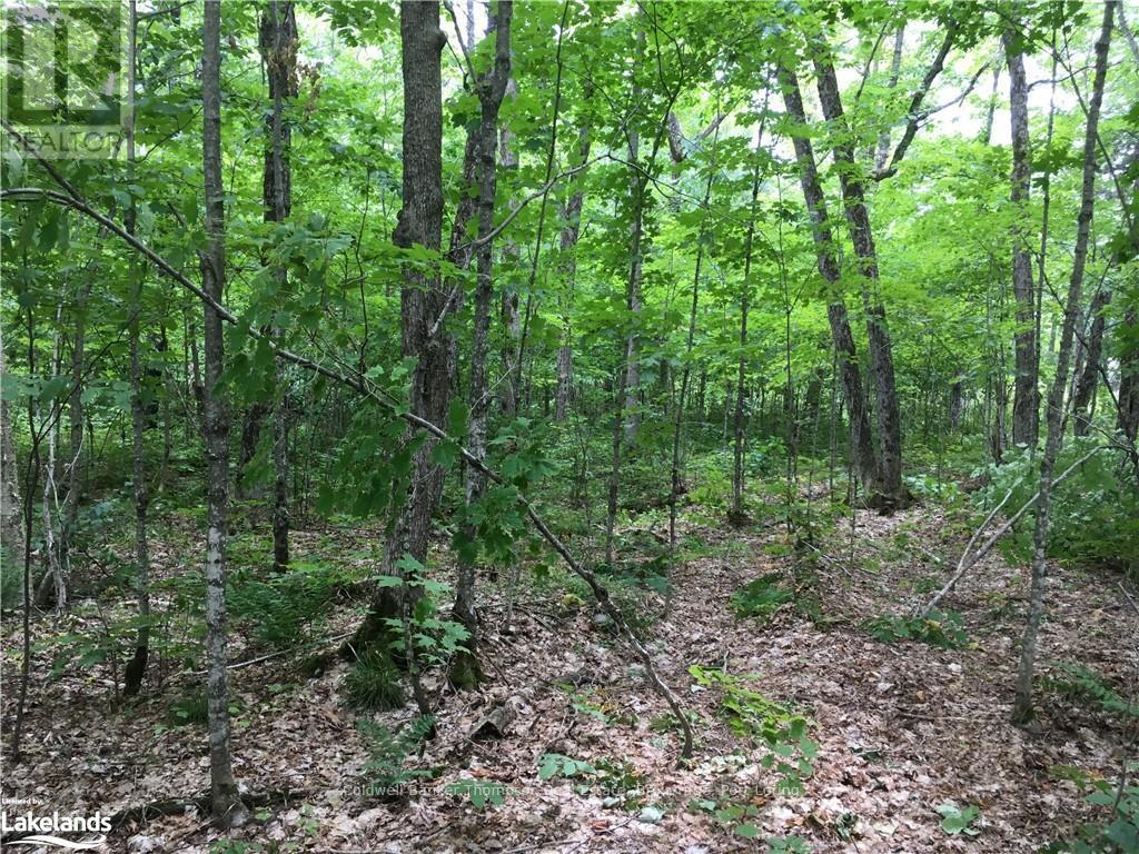 Lot 6-A 522, Parry Sound Remote Area, Ontario  P0H 1S0 - Photo 8 - X10436965