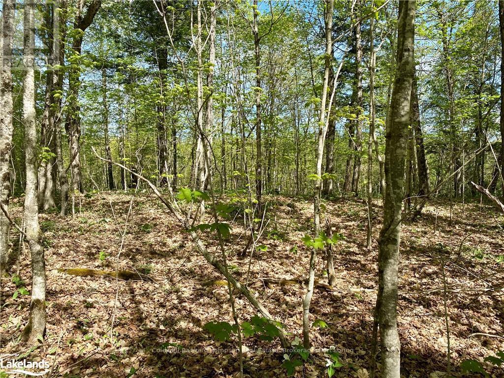 Lot 6-A 522, Parry Sound Remote Area, Ontario  P0H 1S0 - Photo 9 - X10436965