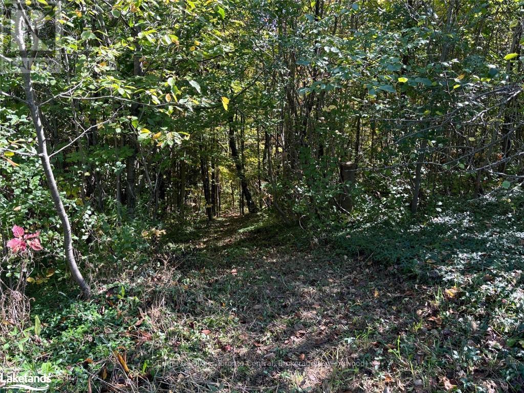 317343 3rd Line, Meaford, Ontario  N4L 1W7 - Photo 37 - X10438686