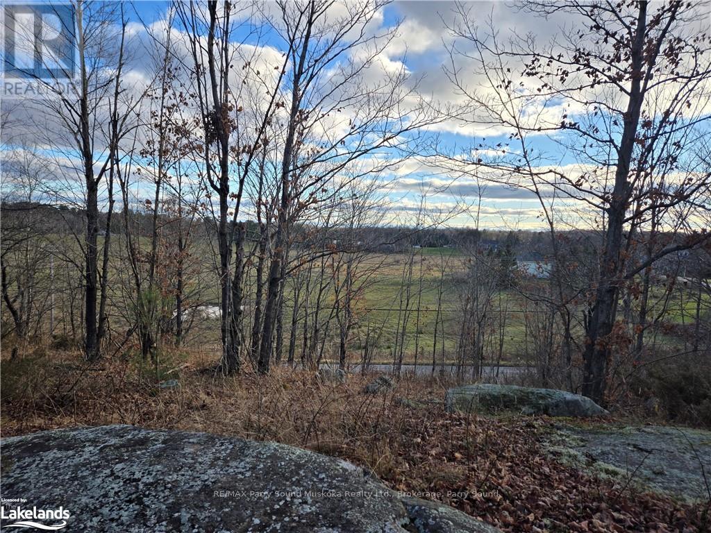 19 Turtle Lane, Mckellar, Ontario  P0G 1C0 - Photo 2 - X10438748