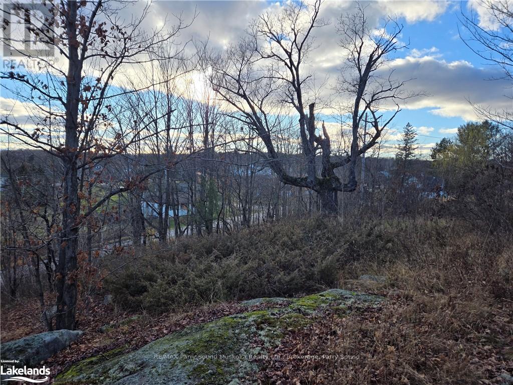 19 Turtle Lane, Mckellar, Ontario  P0G 1C0 - Photo 3 - X10438748