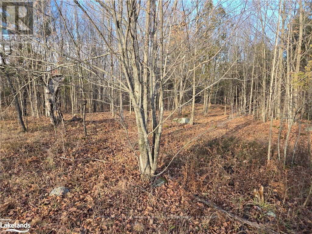 19 Turtle Lane, Mckellar, Ontario  P0G 1C0 - Photo 4 - X10438748