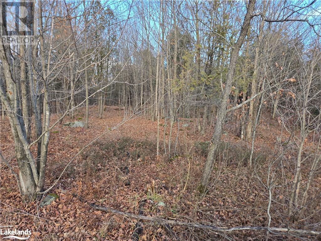 19 Turtle Lane, Mckellar, Ontario  P0G 1C0 - Photo 5 - X10438748