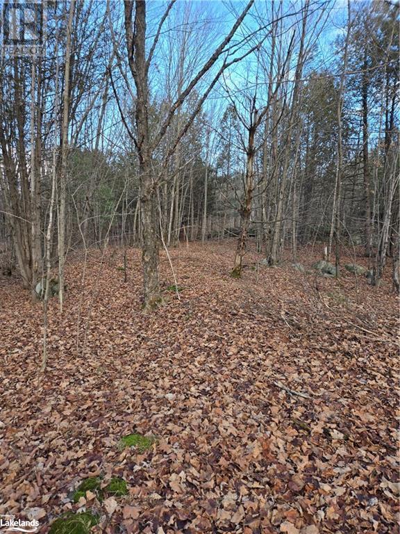 19 Turtle Lane, Mckellar, Ontario  P0G 1C0 - Photo 7 - X10438748