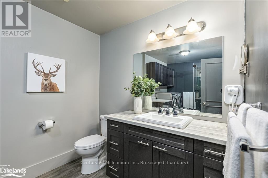 202 - 796404 19 Grey Road, Blue Mountains, Ontario  L9Y 0N8 - Photo 17 - X10437741