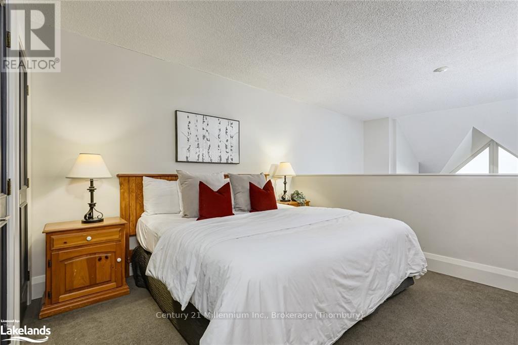 202 - 796404 19 Grey Road, Blue Mountains, Ontario  L9Y 0N8 - Photo 22 - X10437741