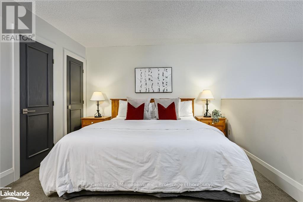 202 - 796404 19 Grey Road, Blue Mountains, Ontario  L9Y 0N8 - Photo 23 - X10437741