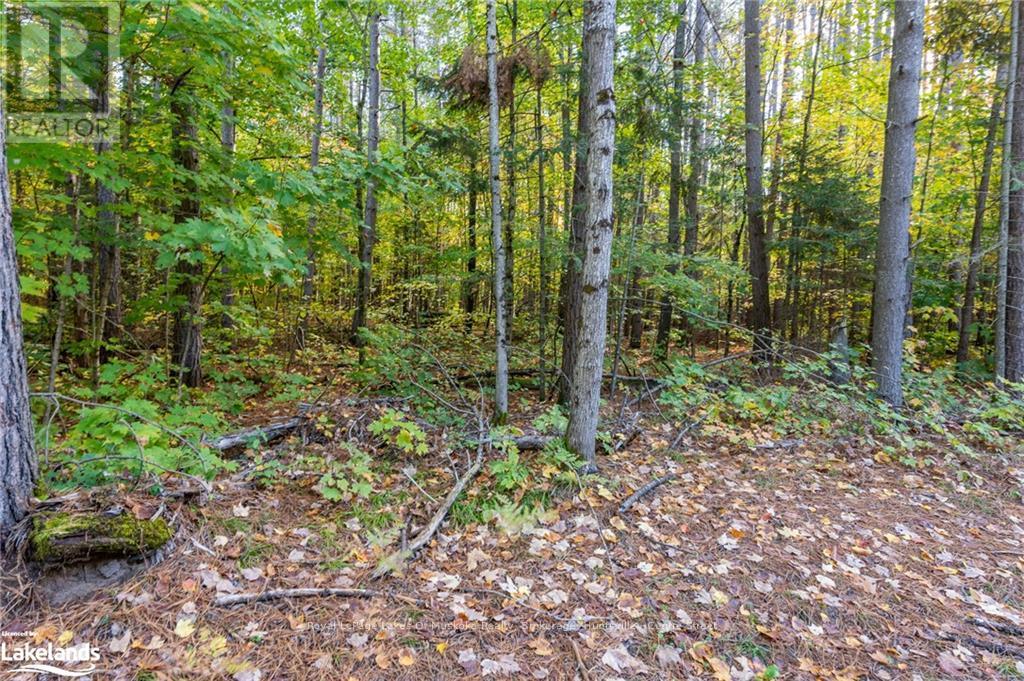 475 East Fox Lake Road, Huntsville, Ontario  P1H 2J2 - Photo 10 - X10438787