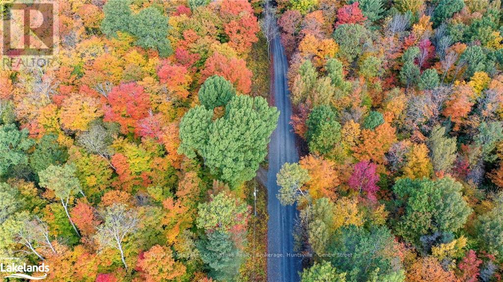 475 East Fox Lake Road, Huntsville, Ontario  P1H 2J2 - Photo 13 - X10438787