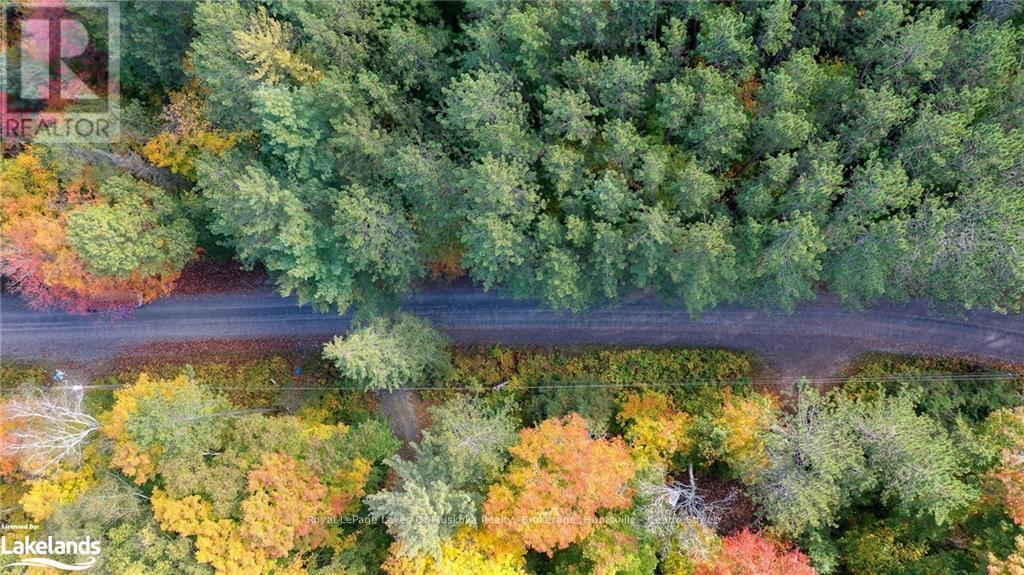 475 East Fox Lake Road, Huntsville, Ontario  P1H 2J2 - Photo 2 - X10438787