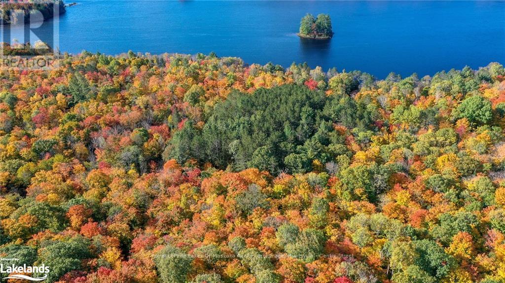 475 East Fox Lake Road, Huntsville, Ontario  P1H 2J2 - Photo 3 - X10438787