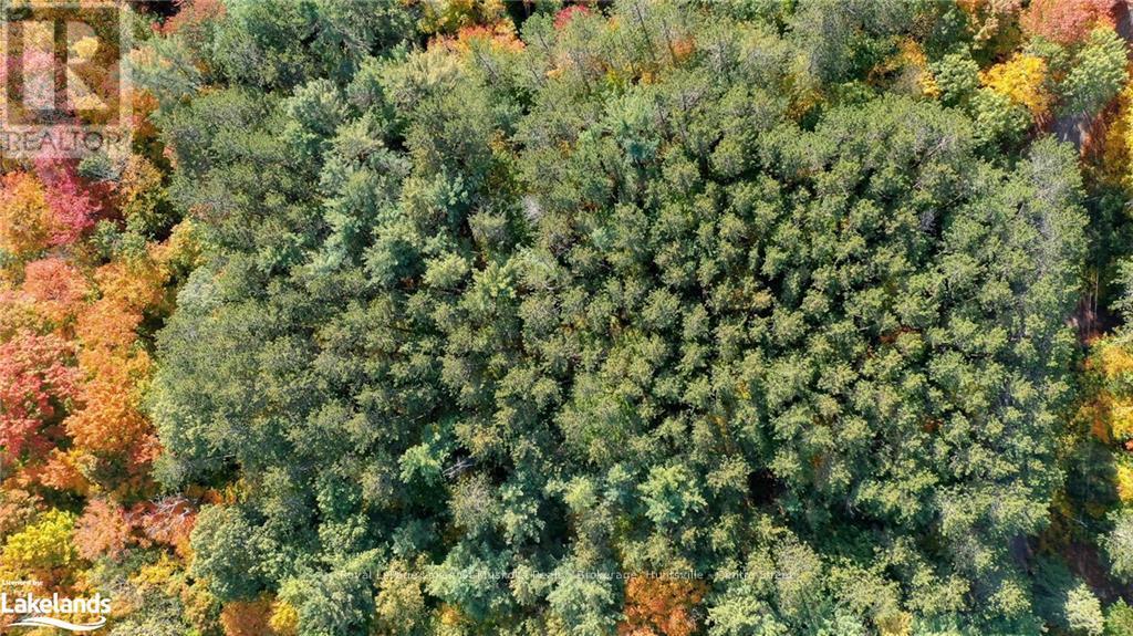 475 East Fox Lake Road, Huntsville, Ontario  P1H 2J2 - Photo 6 - X10438787