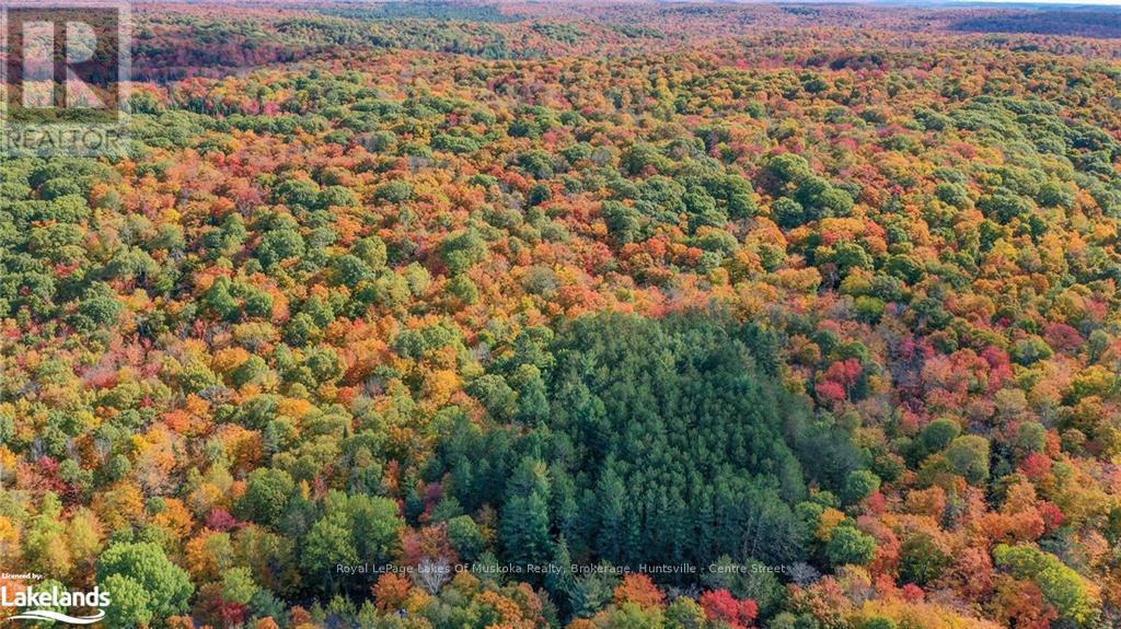 475 East Fox Lake Road, Huntsville, Ontario  P1H 2J2 - Photo 7 - X10438787