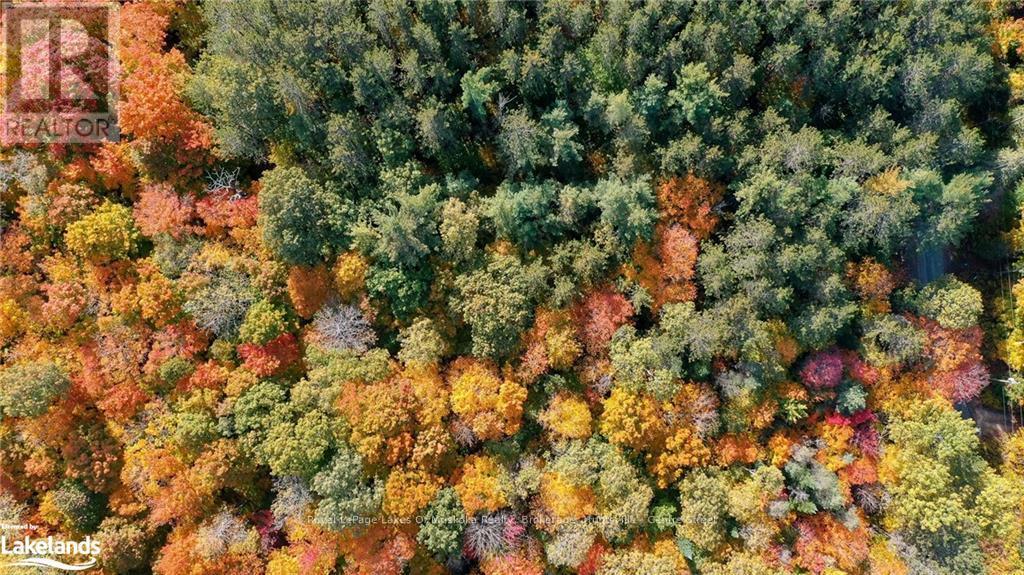 475 East Fox Lake Road, Huntsville, Ontario  P1H 2J2 - Photo 8 - X10438787