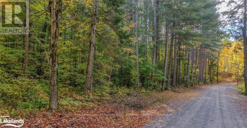 475 East Fox Lake Road, Huntsville, Ontario  P1H 2J2 - Photo 9 - X10438787