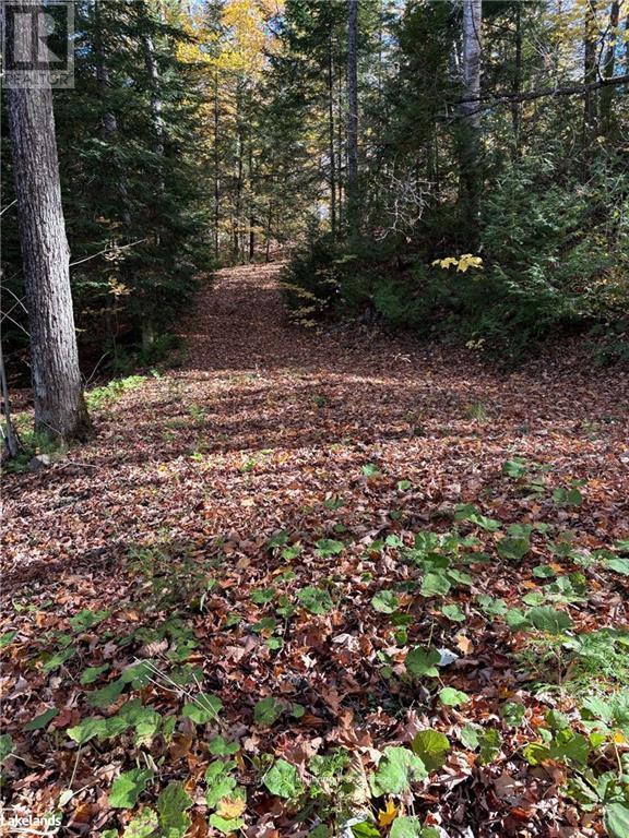 8 Cannonball Lane, Minden Hills, Ontario  K0M 2A1 - Photo 10 - X10438871