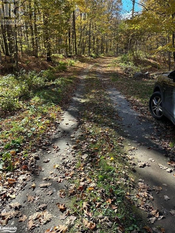 8 Cannonball Lane, Minden Hills, Ontario  K0M 2A1 - Photo 16 - X10438871