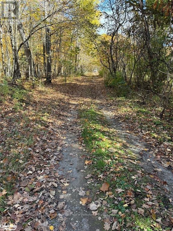 8 Cannonball Lane, Minden Hills, Ontario  K0M 2A1 - Photo 17 - X10438871