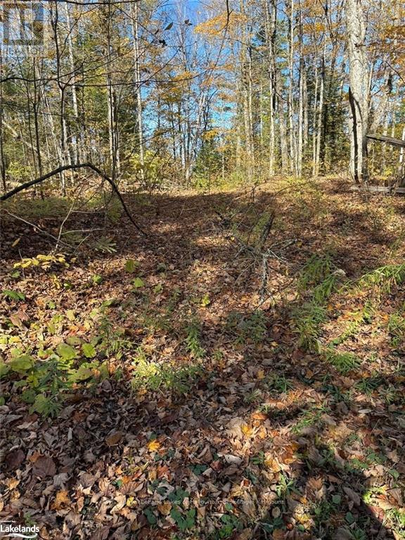 8 Cannonball Lane, Minden Hills, Ontario  K0M 2A1 - Photo 18 - X10438871