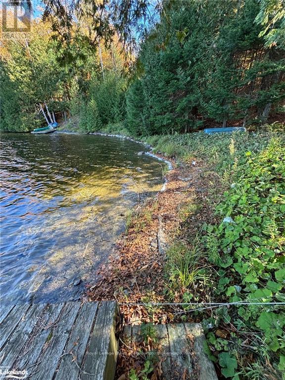 8 Cannonball Lane, Minden Hills, Ontario  K0M 2A1 - Photo 3 - X10438871