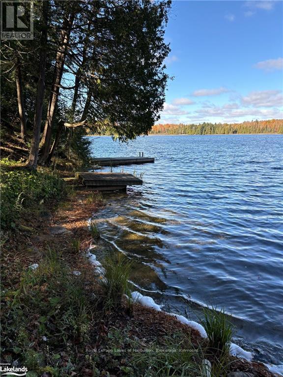 8 Cannonball Lane, Minden Hills, Ontario  K0M 2A1 - Photo 9 - X10438871