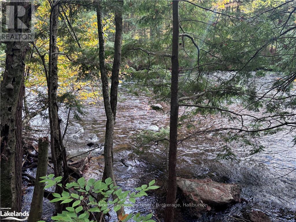Lot 13 N/a, Algonquin Highlands, Ontario  K0M 1J2 - Photo 4 - X10436715
