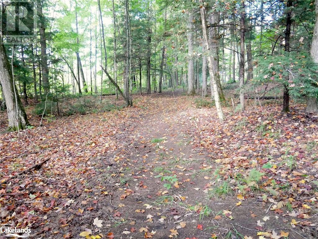 64 Nipissing Road, Seguin, Ontario  P2A 0B6 - Photo 23 - X10438900