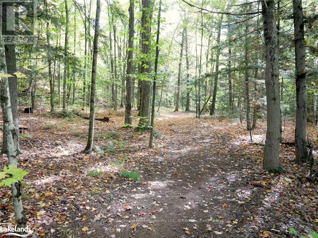 64 Nipissing Road, Seguin, Ontario  P2A 0B6 - Photo 24 - X10438900