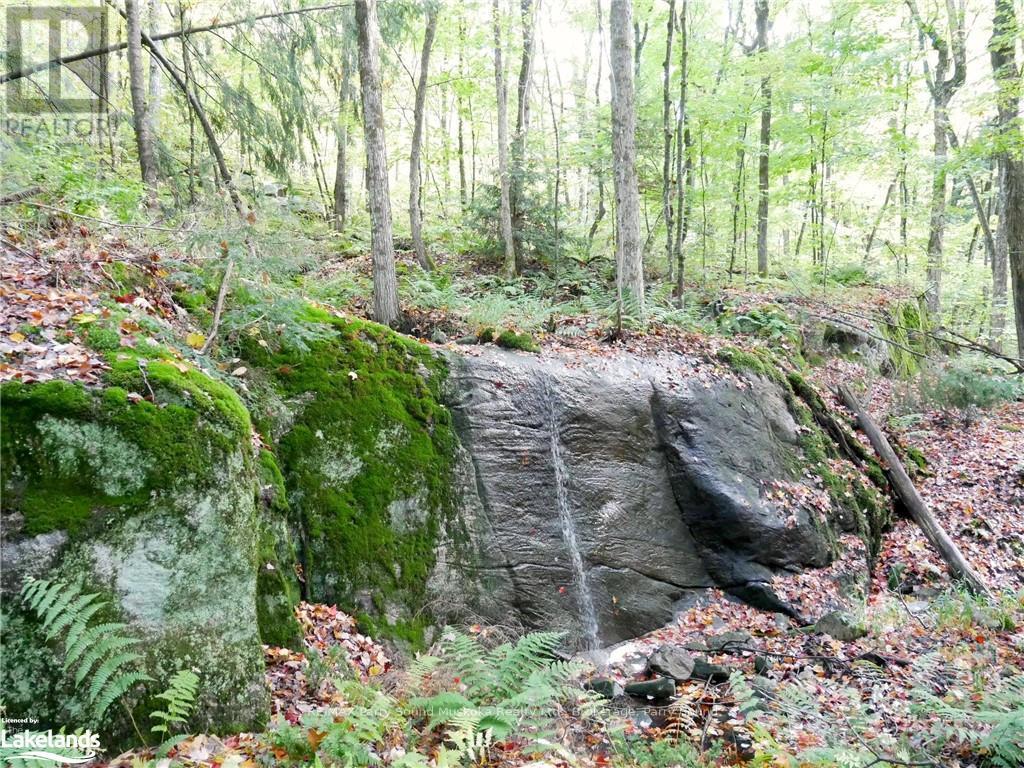 64 Nipissing Road, Seguin, Ontario  P2A 0B6 - Photo 25 - X10438900