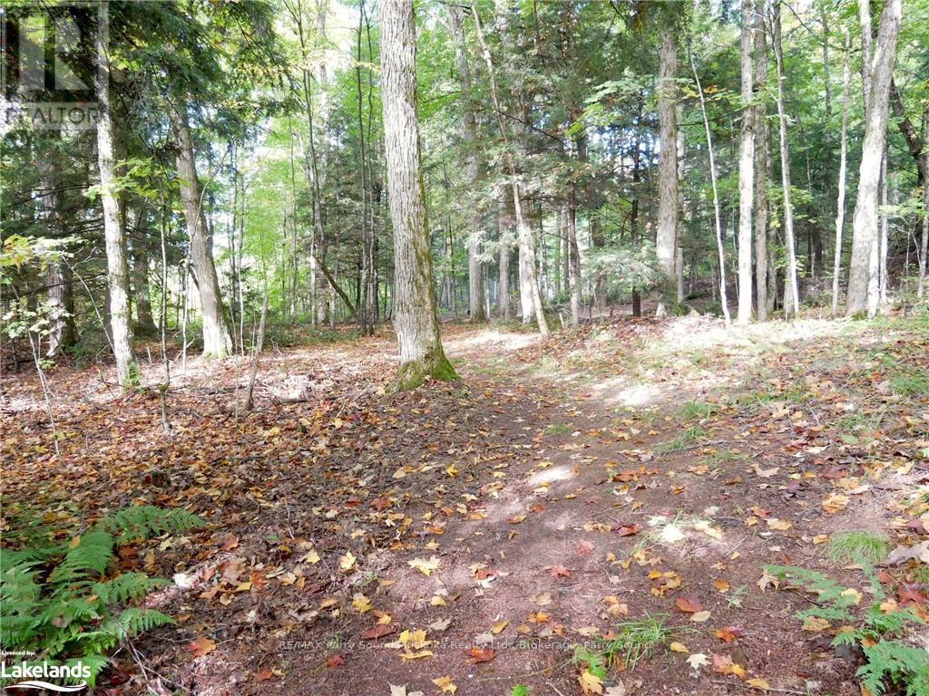 64 Nipissing Road, Seguin, Ontario  P2A 0B6 - Photo 26 - X10438900