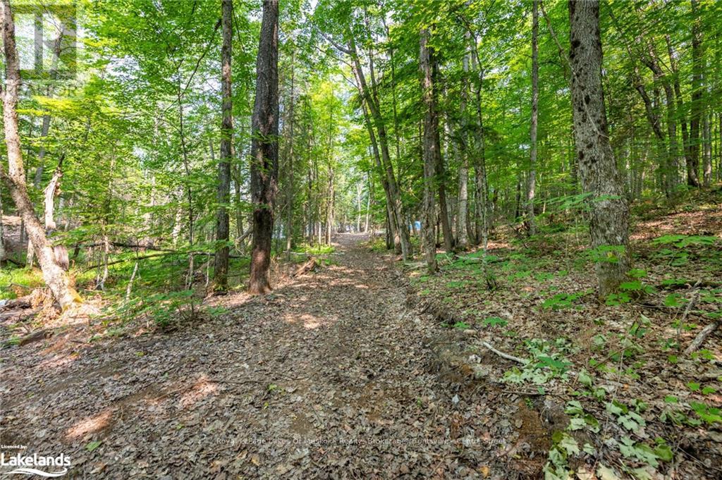 0 Balsam Drive, Kearney, Ontario  P0A 1M0 - Photo 11 - X10438911