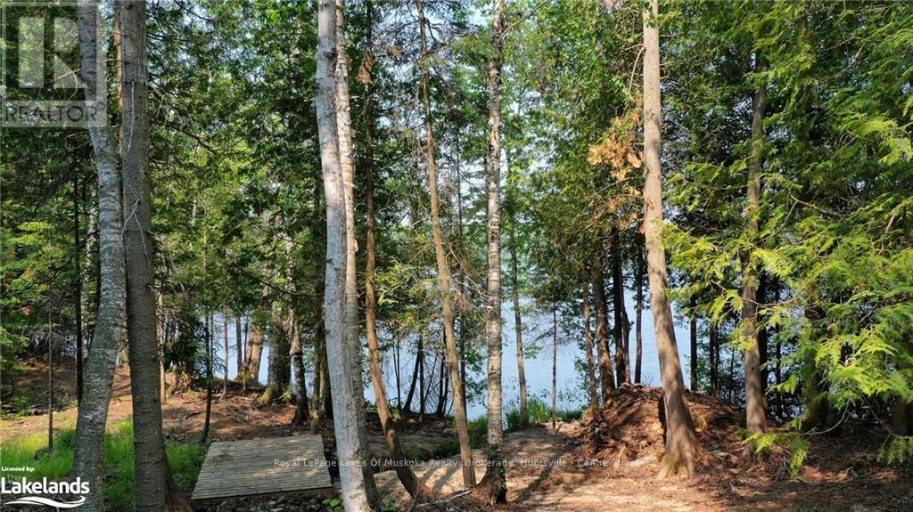 0 Balsam Drive, Kearney, Ontario  P0A 1M0 - Photo 16 - X10438911