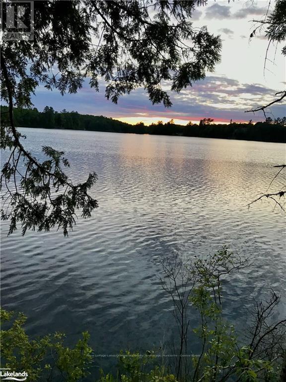 0 Balsam Drive, Kearney, Ontario  P0A 1M0 - Photo 21 - X10438911