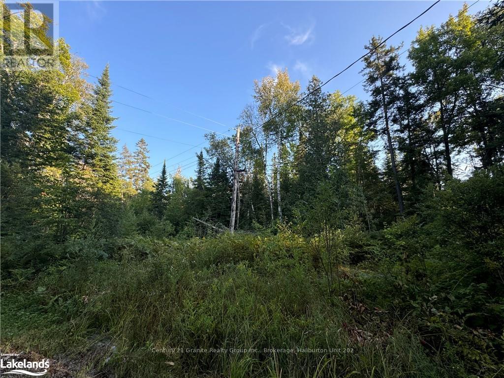 0 Hudson Lake Drive, Highlands East, Ontario  K0L 1X0 - Photo 2 - X10438927