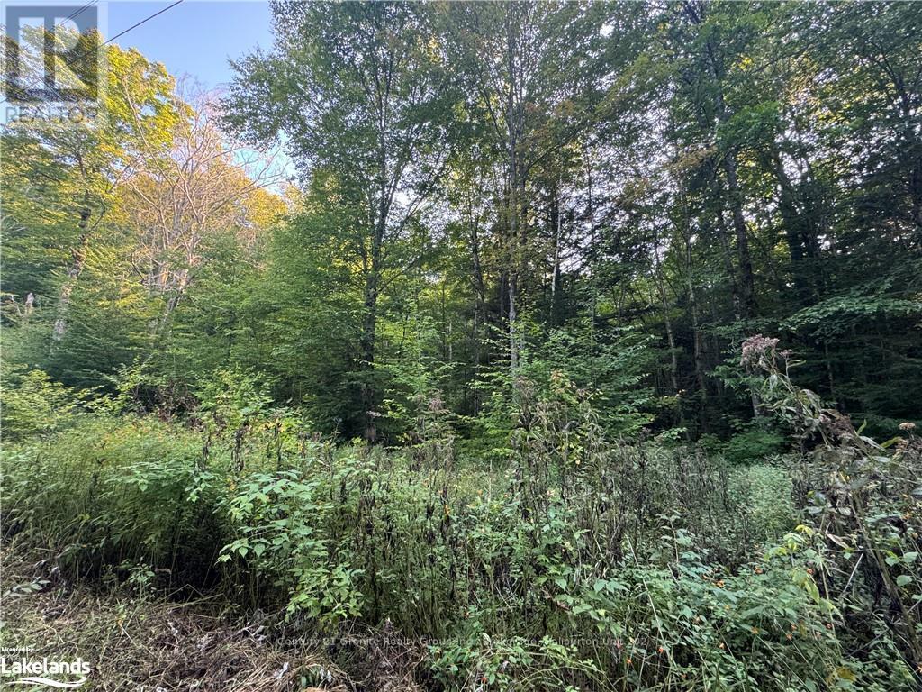 0 Hudson Lake Drive, Highlands East, Ontario  K0L 1X0 - Photo 3 - X10438927