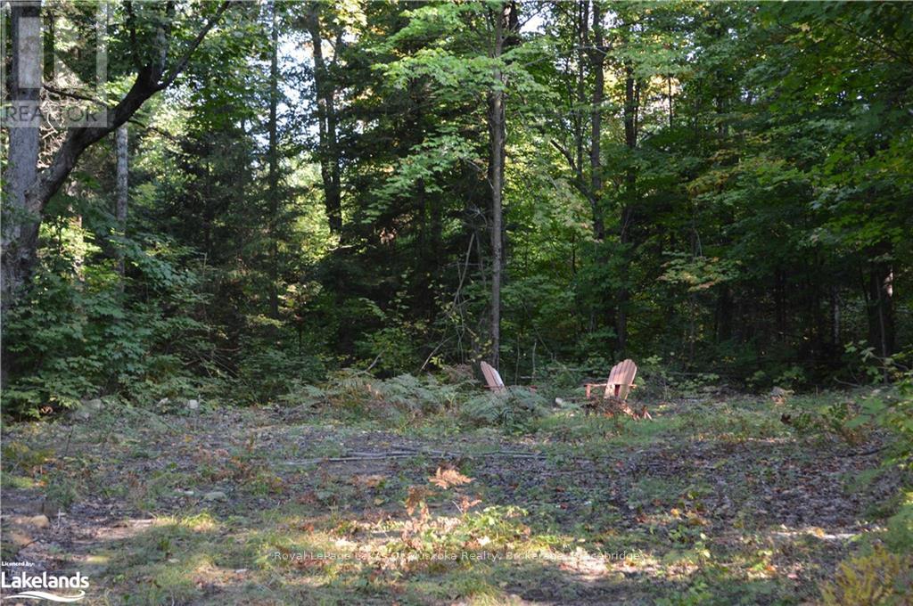 Lot 20 Concession 5 Road, Huntsville, Ontario  P1H 2J3 - Photo 6 - X10438933