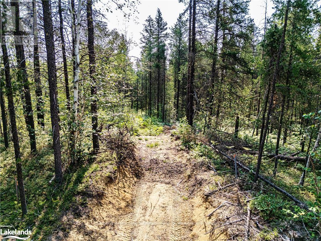 Lot 3 - 0 Munro Lake Road N, Black River Matheson, Ontario  A0A 0A0 - Photo 8 - T10435763