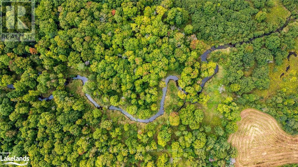 1233 Beiers Rd, Gravenhurst, Ontario  P0E 1N0 - Photo 16 - X10436685