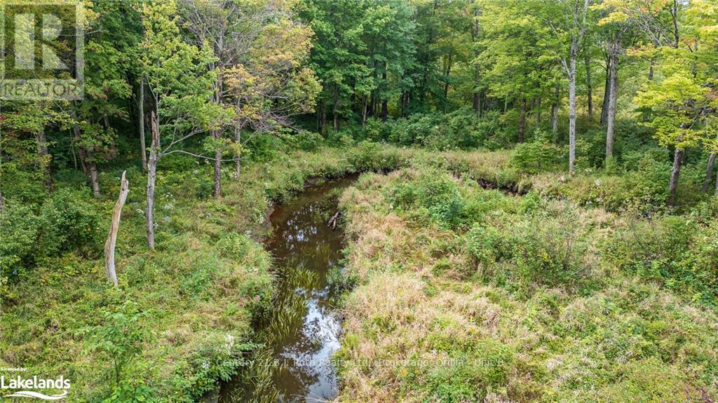 1233 Beiers Rd, Gravenhurst, Ontario  P0E 1N0 - Photo 5 - X10436685