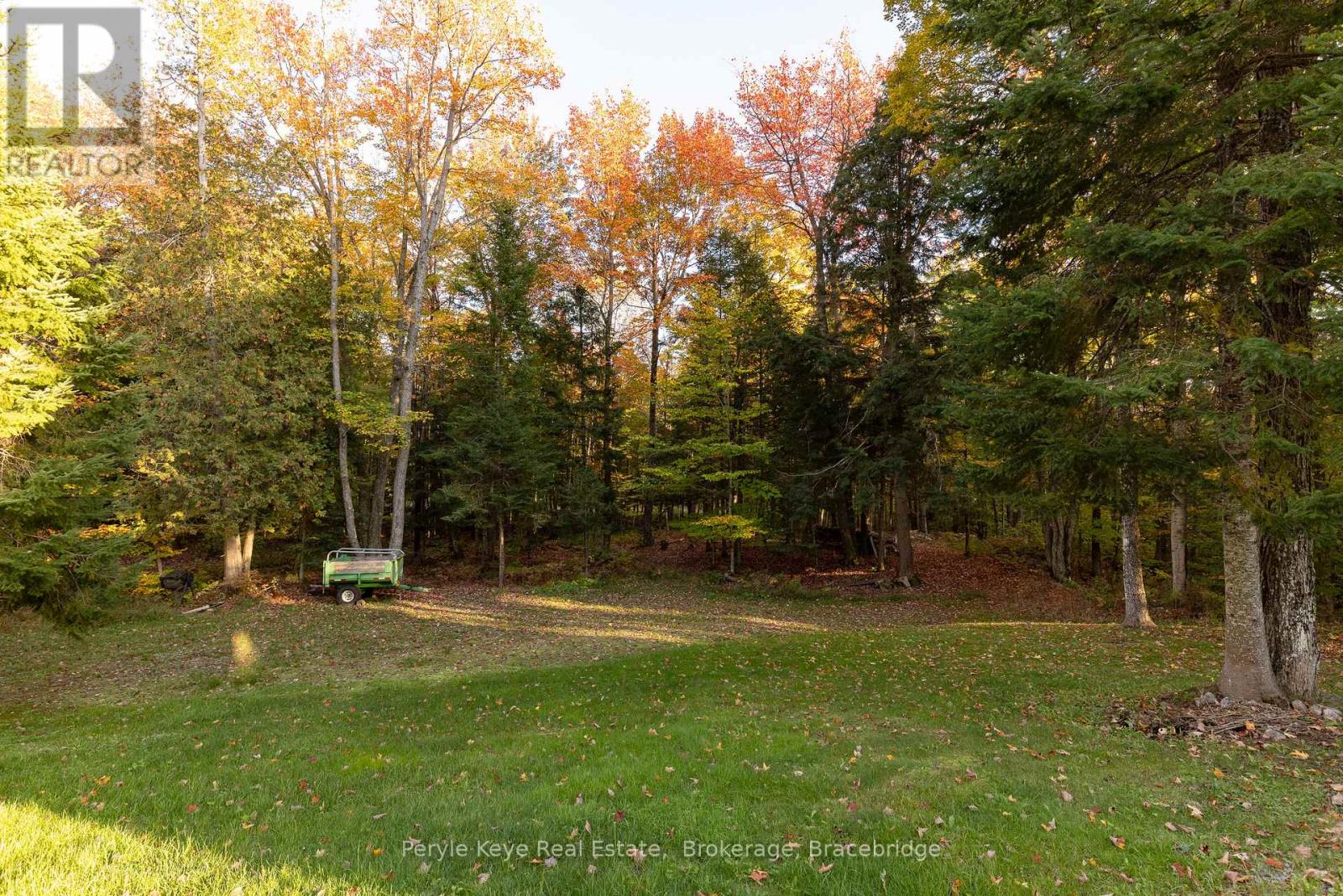 1165 Walker Lake Drive, Lake Of Bays (Sinclair), Ontario  P1H 2J6 - Photo 39 - X10438934