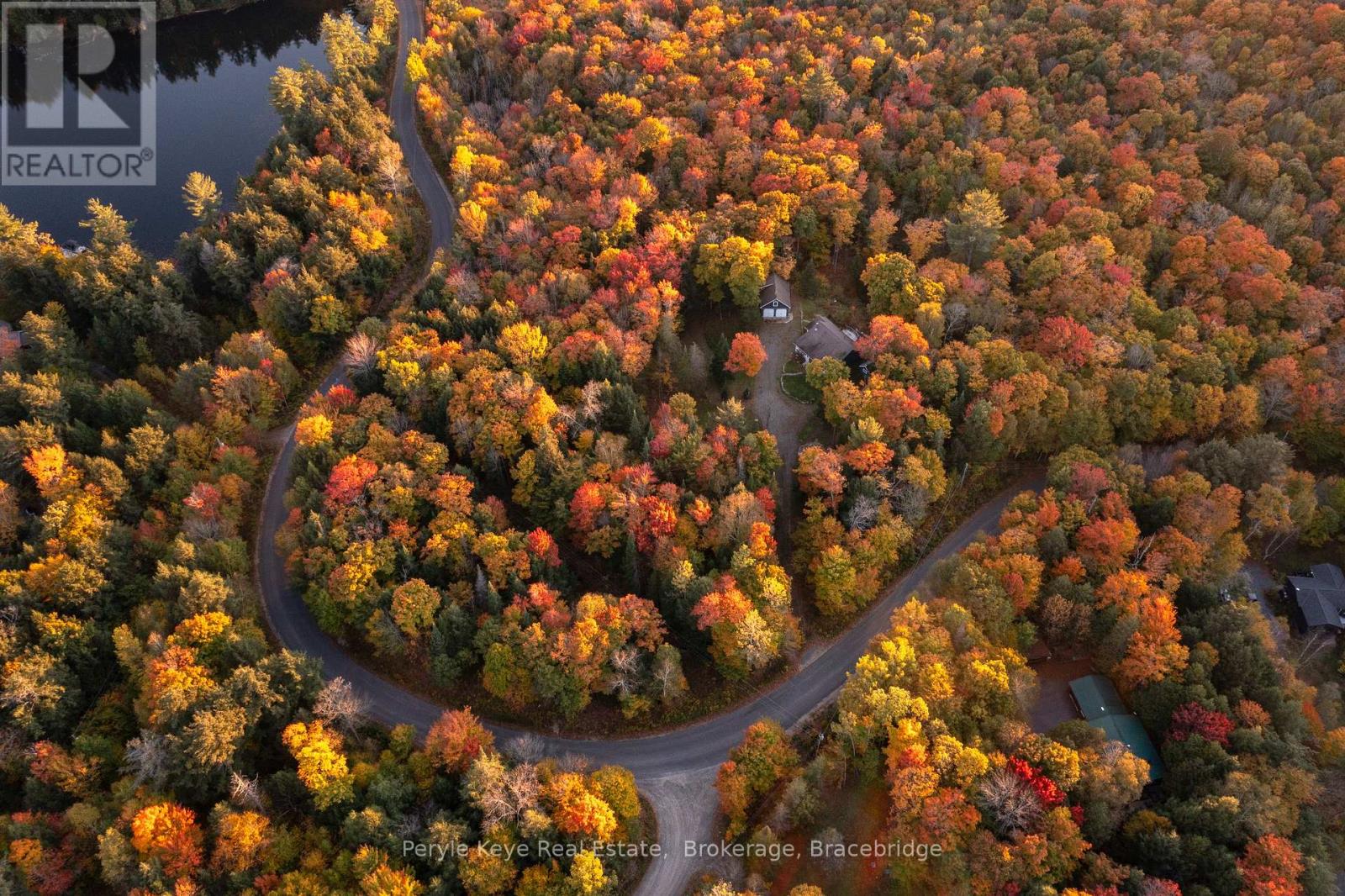 1165 Walker Lake Drive, Lake Of Bays (Sinclair), Ontario  P1H 2J6 - Photo 4 - X10438934