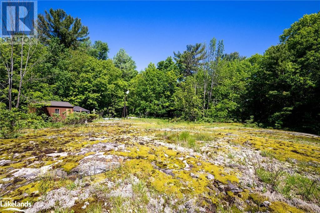 2517 Honey Harbour Road, Georgian Bay, Ontario  L0K 1S0 - Photo 29 - X10438937