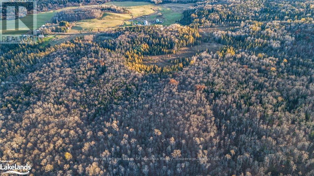 Lot 2 Hill And Gully Road, Ryerson, Ontario  P0A 1C0 - Photo 13 - X10438952